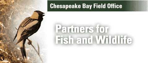 Partners for Fish & Wildlife