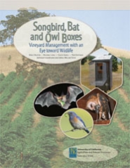 Songbird, Bat and Owl Boxes