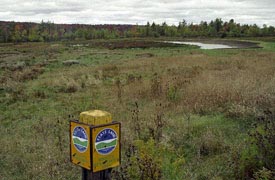 photo of a marshland bird habitat at Alder Bottom Wildlife Management Area in Chautauqua County