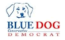 blue_dog