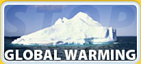 Global Warming Button