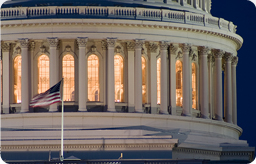 image of U.S. Capital building