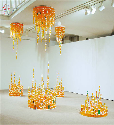 Jean Shin installation