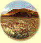 [Icon: Arid and Semi-Arid Lands]