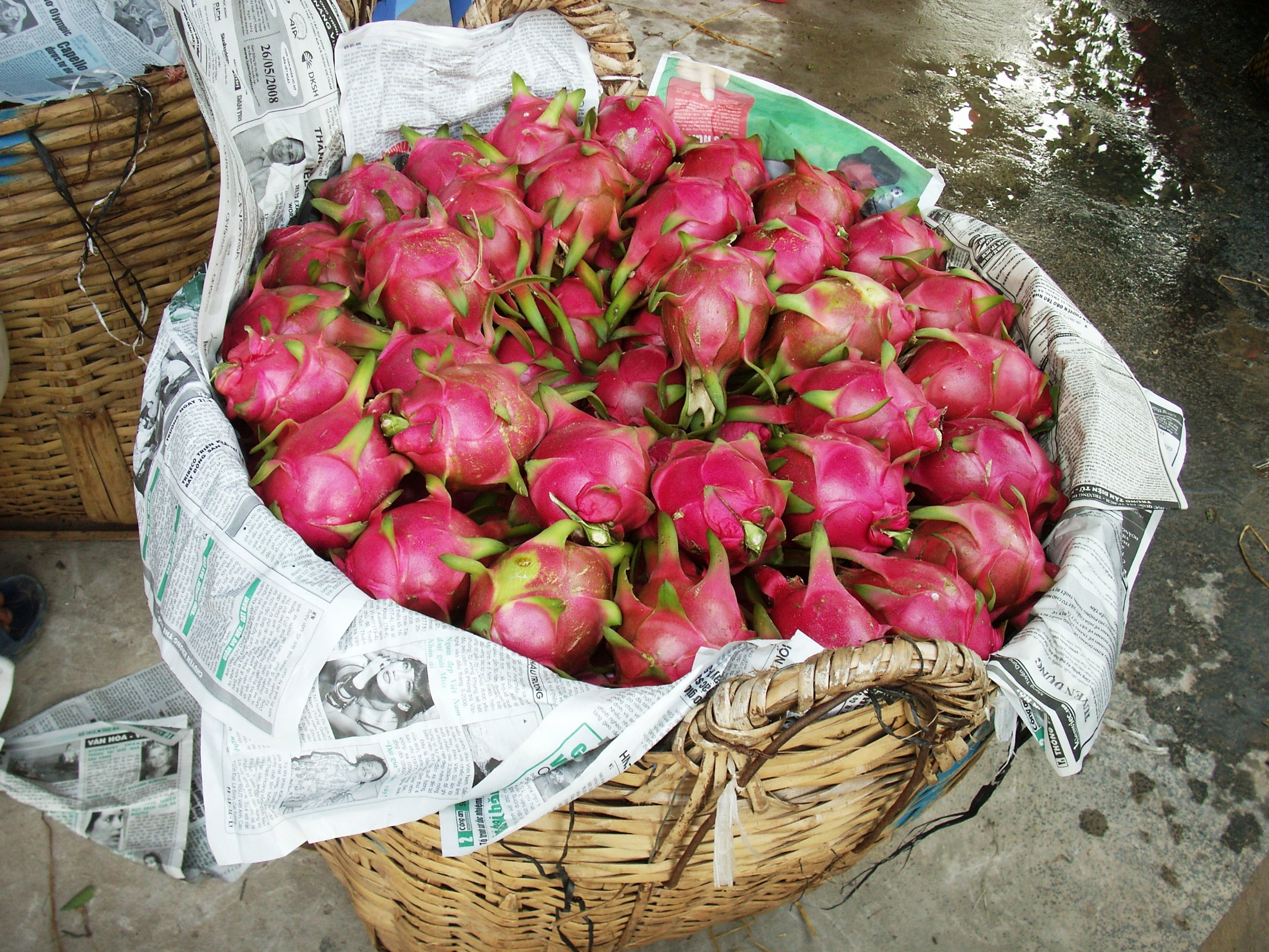 image of dragon fruit