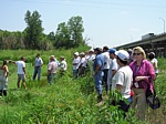 Wetlands along Dallas Floodway Extension