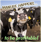 Photo of cows. Caption: Manure Happens...to be profitable!