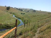 CEAP takes the measure of of conservation programs and practices. This CEAP project in California's Stemple Creek Watershed studies the environmental benefits of conservation practices implemented through farm bill programs. Information gathered will help development of performance measures for estimating soil and water quality, as well as benefits to wildlife habitat. (Southern Sonoma County Resource Conservation District image.)