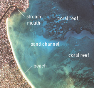 aerial photograph showing urban growth along Hawaii’s coast