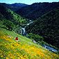 South Fork American River Canyon