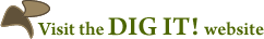 Visit the DIG IT website