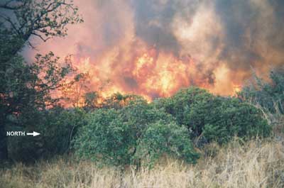 Photo 4. Fire observed by victim's crew prior to burnover