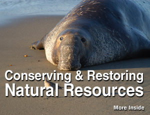 Conserving & Restoring Natural Resources.