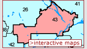 Interactive Maps