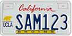 Photo of the Collegiate License Plate