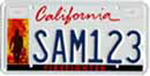 Photo of the Firefighters License Plate