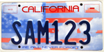 Photo of the Memorial License Plate