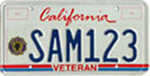 Photo of the Veterans Organization License Plate