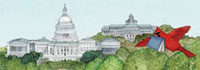 thumbnail of Congress and The Library of Congress