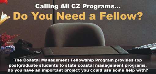 Fellowship Program