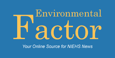 The Environmental Factor