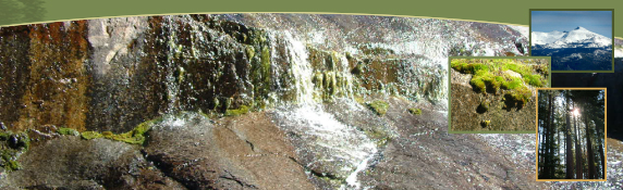 [Photograph]: Water running over rock with insets of forest scenes.  2003 Amy L. Reid.