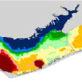 Ecological Forecasting