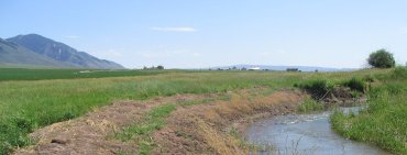 Critical habitat landscape photo. Photo FWS.