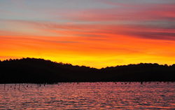 Sunrise at Lake Jacomo