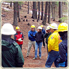 Photograph of several individuals standing around nearby trees, wearing hard hats.