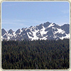 Photograph of a snow-capped, mountain setting and a heavily-forested area in the foreground.