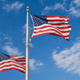 American flags flying over Washington DC