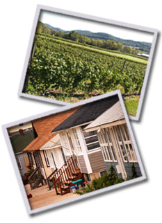 Photos: Open Farmland with Vineyards in Foreground; Row of Beach Houses