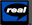 RealPlayer Logo