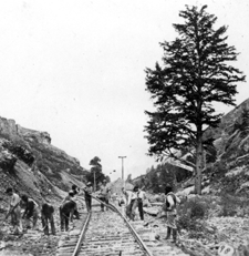 Railroad workers and a solitary pine in Wilhelmina Pass marking the 1,000th mile west of Omaha