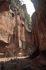 cave photo