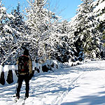 Man cross-country skiing