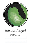 harmful algal bloom