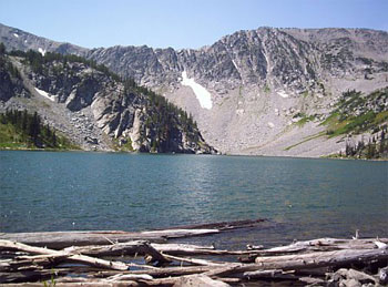 photo of a lake with dead wood in the foreground and a  bare rock mountainside in the background