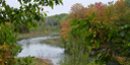 View of the Manistee River from the North Country National Scenic Trail