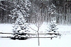 Picture of snow