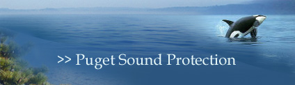 Protecting Puget Sound: Reaching the goal of a healthy, sustainable Puget Sound, now and forever