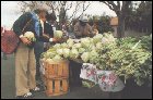 Image: Davis Farmers Market