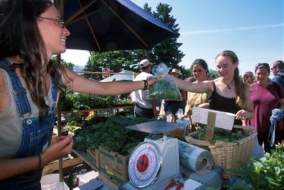 Farmer's market vendor