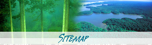 sitemap header graphic