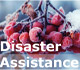  This link leads to the Disaster Assistance page