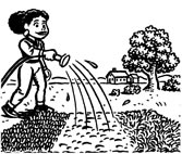 Woman watering lawn