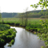 Image of a winding river, signifying the winding regulatory paths that might require guidance