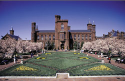 Castle view from the Haupt Garden