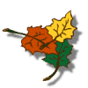 small icon representing fall foliage